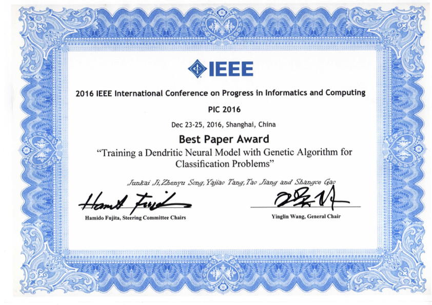 IEEE Best Paper Award
