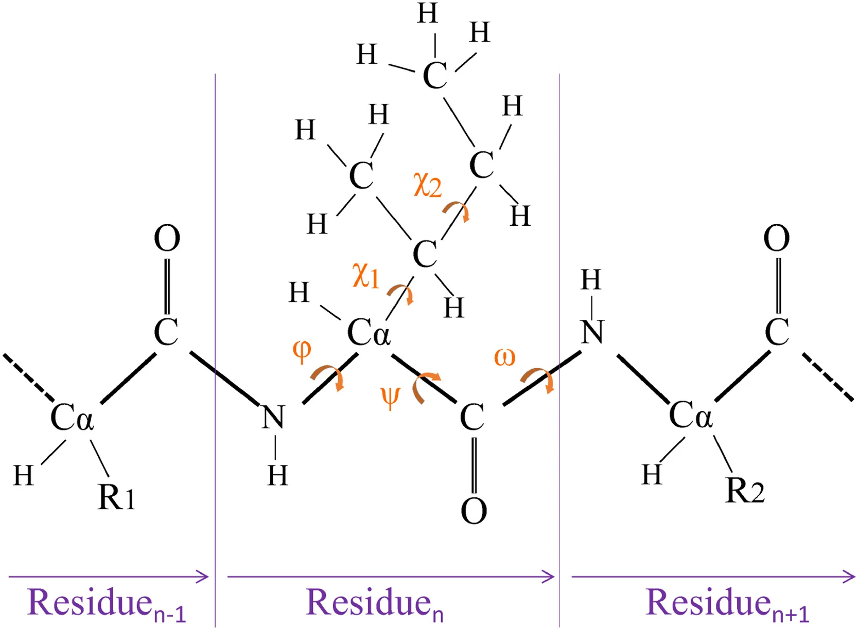 Adoption of an Improved PSO to Explore a Compound Multi-Objective Energy Function in Protein Structure Prediction