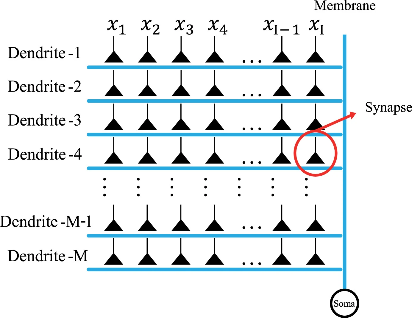 A Novel Machine Learning Technique for Computer-Aided Diagnosis
