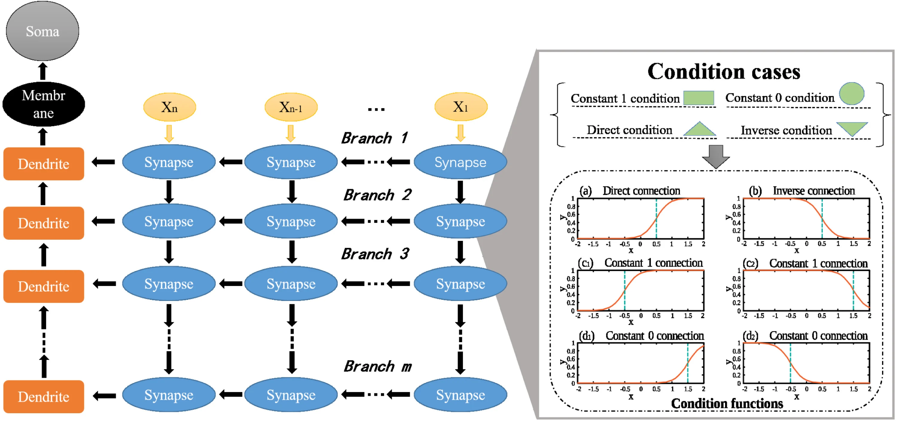 Transmission Trend of the COVID-19 Pandemic Predicted by Dendritic Neural Regression
