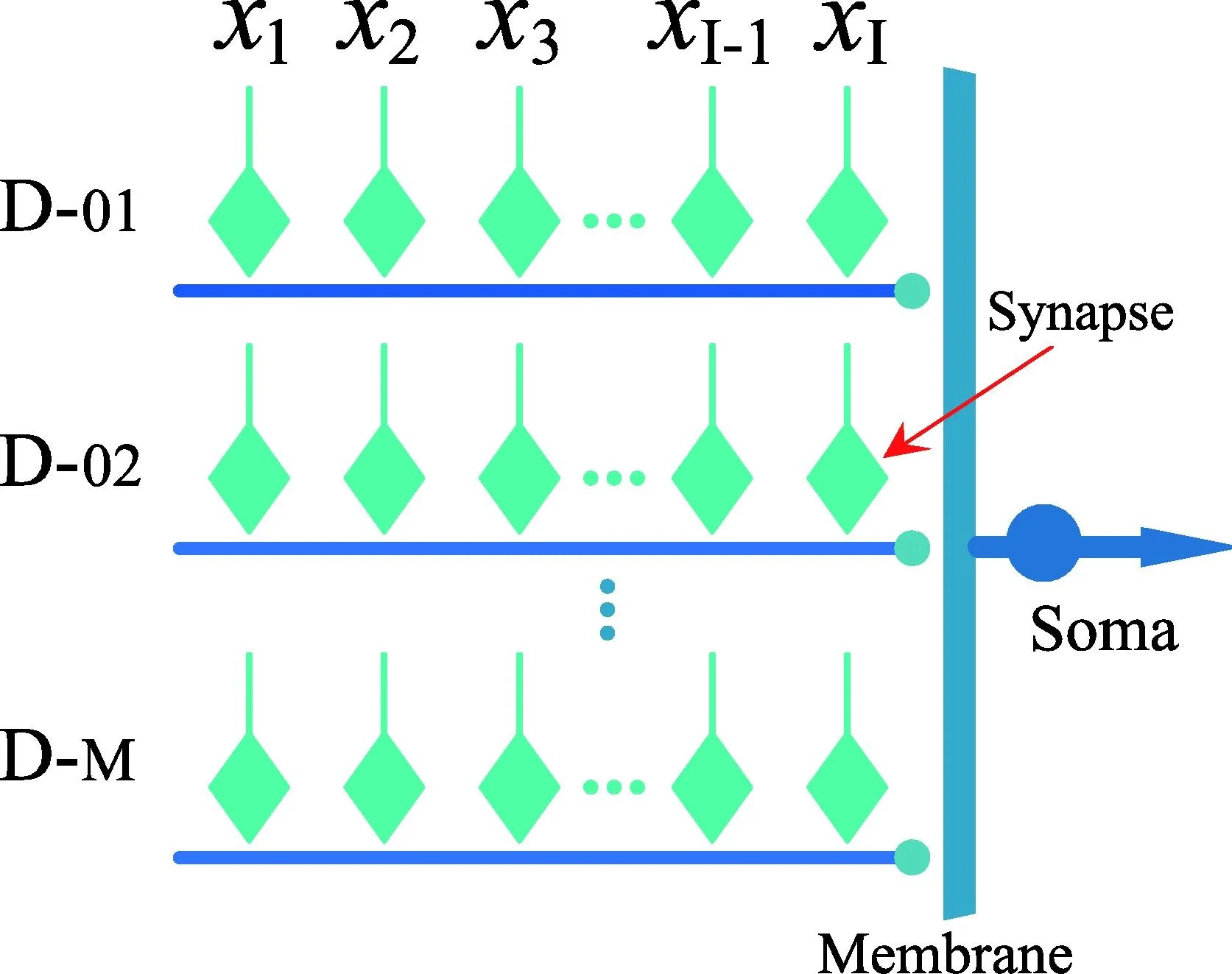 A Survey on Dendritic Neuron Model: Mechanisms, Algorithms and Practical Applications