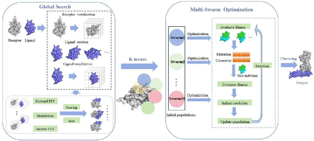 Feshdock: A Divide-and-Conquer Protein–Protein Complex Conformation Prediction Algorithm
