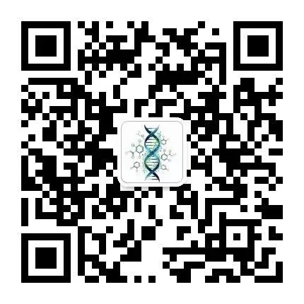 WeChat Official Account QR Code